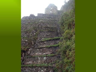 Los incas
