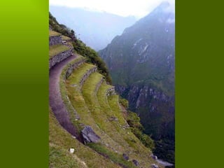 Los incas