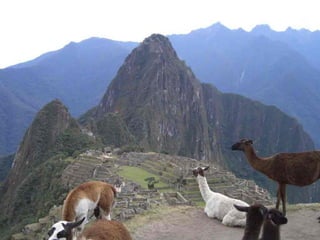 Los incas