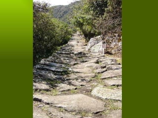 Los incas