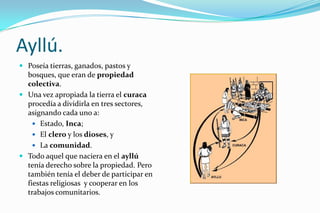 Ayllú.
 Poseía tierras, ganados, pastos y
  bosques, que eran de propiedad
  colectiva.
 Una vez apropiada la tierra el curaca
  procedía a dividirla en tres sectores,
  asignando cada uno a:
     Estado, Inca;
     El clero y los dioses, y
     La comunidad.
 Todo aquel que naciera en el ayllú
  tenía derecho sobre la propiedad. Pero
  también tenía el deber de participar en
  fiestas religiosas y cooperar en los
  trabajos comunitarios.
 