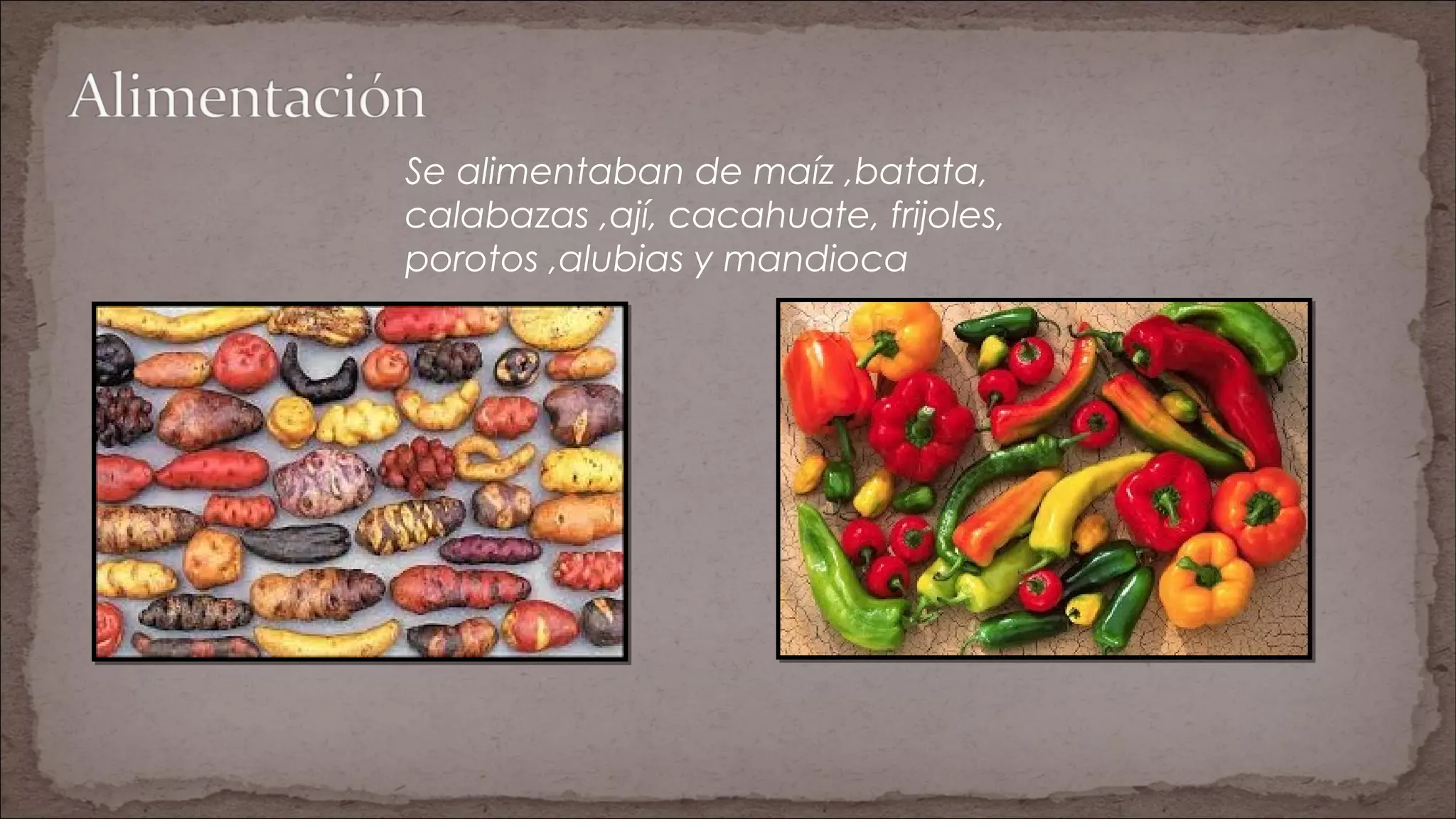 Se alimentaban de maíz ,batata,
calabazas ,ají, cacahuate, frijoles,
porotos ,alubias y mandioca