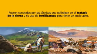 Fueron conocidos por las técnicas que utilizaban en el tratado
de la tierra y su uso de fertilizantes para tener un suelo apto.
 