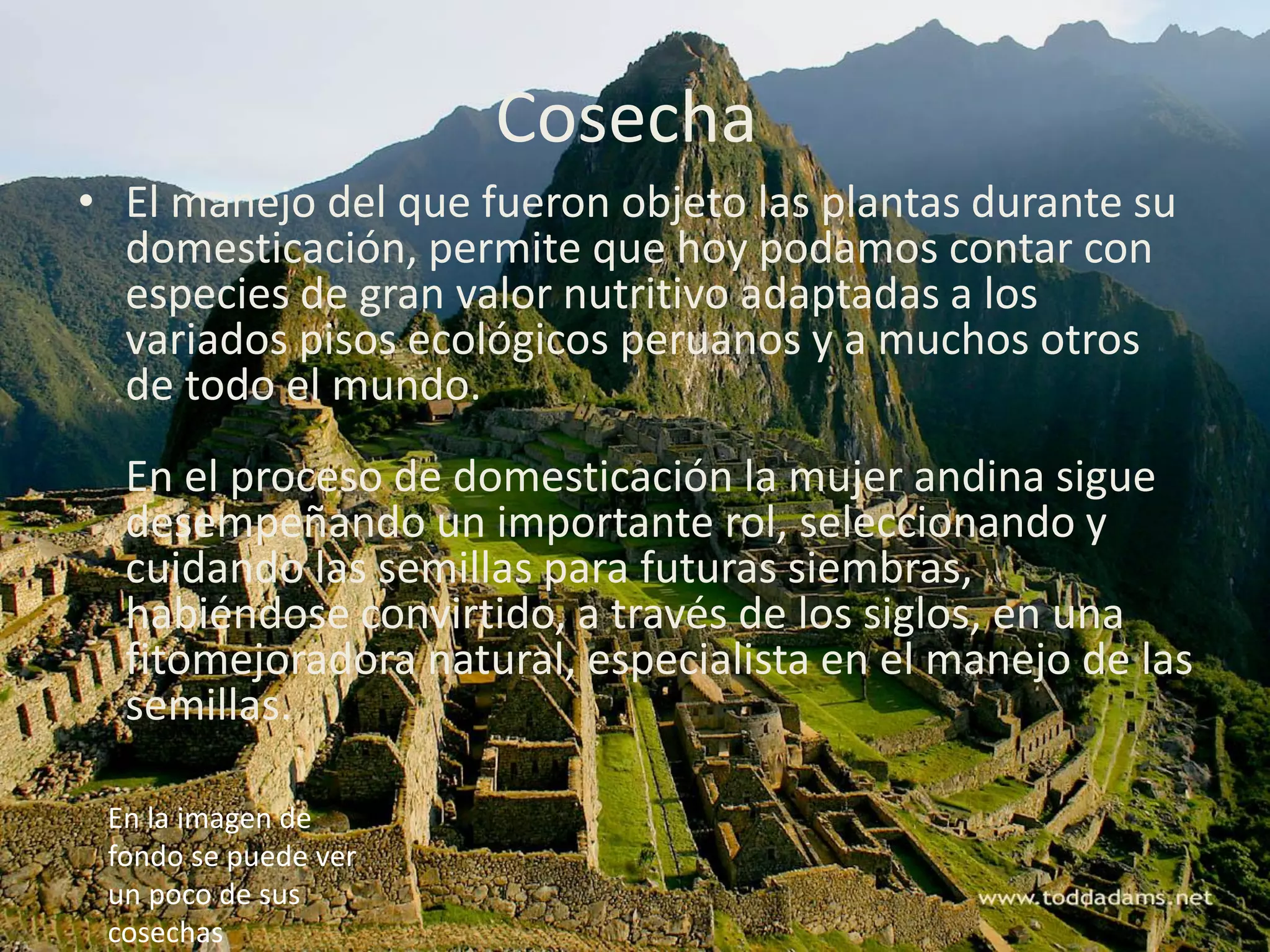 Los incas y su imperio | PDF
