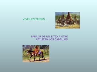 VIVEN EN TRIBUS ,
PARA IR DE UN SITIO A OTRO
UTILIZAN LOS CABALLOS