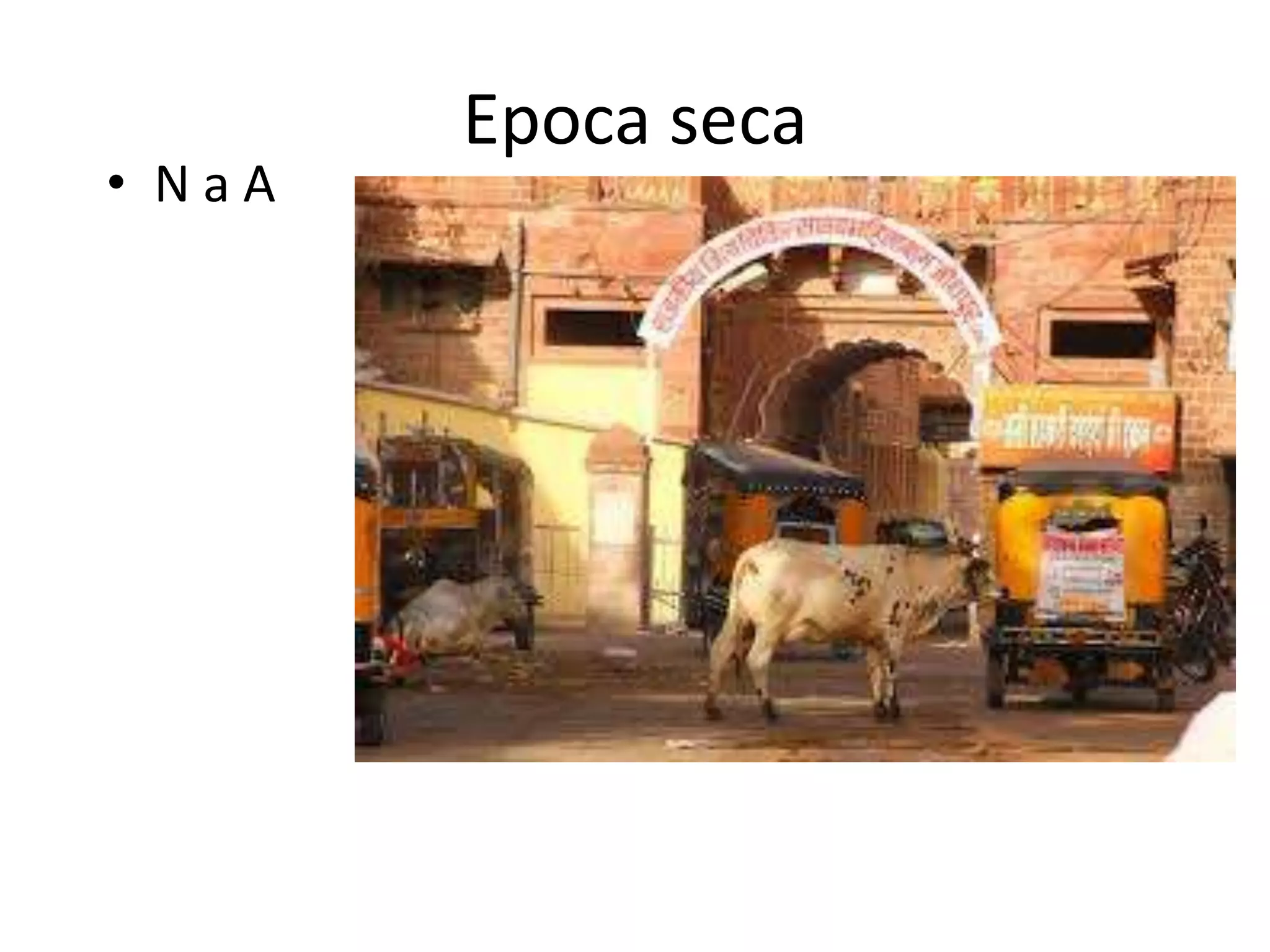 Epoca seca
• N a A