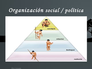 Organización  social / política 