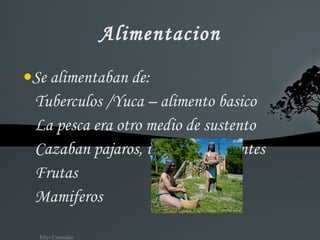 Alimentacion Se alimentaban de: Tuberculos /Yuca – alimento basico  La pesca era otro medio de sustento Cazaban pajaros, iguana y serpientes Frutas Mamiferos 
