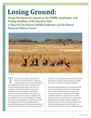 wildlife are an ecological marker for the health of non-
game species, which are also becoming increasingly
vulnerable to the effects of energy development.
Bountiful wildlife populations are a major part of the
cultures and economies of Montana and Wyoming.
Deteriorations in habitat quality associated with
energy development can negatively affect wildlife
populations and, in turn, impact hunters, wildlife-
watchers, and the tourism industry as a whole, which
brings millions of people and billions of dollars to
the region every year. These impacts justify the need
for land management reforms and for wide-scale
investments in game and non-game wildlife protection
he iconic game species of the American
West are in perilous decline, as migratory
animals lose ground to energy development
and habitat destruction in southeast Montana and
northeast Wyoming. Sage-grouse, mule deer, and
pronghorn are facing decreasing herd sizes and
downward long-term population trends, which
threaten the continued viability of these species in
the coming decades. Of the species considered, only
elk populations are forecast to rebound and stabilize
from historic lows, though there is significant concern
that additional habitat loss or degradation from
energy development could stall population growth and
further displace the species. Simultaneously, big game
Losing Ground:
T
Losing Ground
Barbara Wheeler
Energy Development’s Impacts on the Wildlife, Landscapes, and
Hunting Traditions of the American West
A Report by the National Wildlife Federation and the Natural
Resources Defense Council
 
