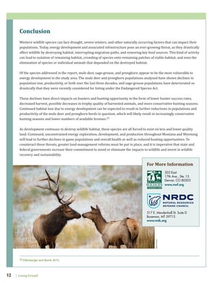 Losing Ground12
Conclusion
Western wildlife species can face drought, severe winters, and other naturally occurring factors that can impact their
populations. Today, energy development and associated infrastructure pose an ever-growing threat, as they drastically
affect wildlife by destroying habitat, interrupting migration paths, and removing key food sources. This kind of activity
can lead to isolation of remaining habitat, crowding of species onto remaining patches of viable habitat, and even the
elimination of species or individual animals that depended on the destroyed habitat.
Of the species addressed in the report, mule deer, sage-grouse, and pronghorn appear to be the most vulnerable to
energy development in the study area. The mule deer and pronghorn populations analyzed have shown declines in
population size, productivity, or both over the last three decades, and sage-grouse populations have deteriorated so
drastically that they were recently considered for listing under the Endangered Species Act.
These declines have direct impacts on hunters and hunting opportunity in the form of lower hunter success rates,
decreased harvest, possible decreases in trophy quality of harvested animals, and more conservative hunting seasons.
Continued habitat loss due to energy development can be expected to result in further reductions in populations and
productivity of the mule deer and pronghorn herds in question, which will likely result in increasingly conservative
hunting seasons and lower numbers of available licenses.23
As development continues to destroy wildlife habitat, these species are all forced to exist on less and lower quality
land. Continued, unconstrained energy exploration, development, and production throughout Montana and Wyoming
will lead to further declines in game populations and overall health as well as reduced hunting opportunities. To
counteract these threats, greater land management reforms must be put in place, and it is imperative that state and
federal governments increase their commitment to avoid or eliminate the impacts to wildlife and invest in wildlife
recovery and sustainability.
303 East
17th Ave., Ste. 15
Denver, CO 80203
www.nwf.org
317 E. Mendenhall St. Suite D
Bozeman, MT 59715
www.nrdc.org
For More Information
StevePerry
23 Ellenberger and Byrne 2015.
 