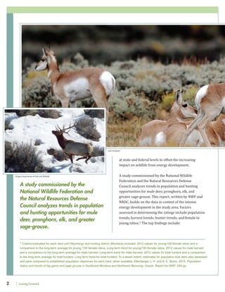 at state and federal levels to offset the increasing
impact on wildlife from energy development.
A study commissioned by the National Wildlife
Federation and the Natural Resources Defense
Council analyzes trends in population and hunting
opportunities for mule deer, pronghorn, elk, and
greater sage-grouse. This report, written by NWF and
NRDC, builds on the data in context of the intense
energy development in the study area. Factors
assessed in determining the ratings include population
trends, harvest trends, hunter trends, and female to
young ratios.1 The top findings include:
Jack Dempsey
A study commissioned by the
National Wildlife Federation and
the Natural Resources Defense
Council analyzes trends in population
and hunting opportunities for mule
deer, pronghorn, elk, and greater
sage-grouse.
Oregon Department of Fish and Wildlife
1 Criteria evaluated for each herd unit (Wyoming) and hunting district (Montana) included: 2012 values for young/100 female ratios and a
comparison to the long-term average for young /100 female ratios; Long-term trend for young/100 female ratios; 2012 values for male harvest
and a comparison to the long-term average for male harvest; Long-term trend for male harvest; 2012 values for total hunters and a comparison
to the long-term average for total hunters; Long term trend for total hunters; To a lesser extent, estimates for population size were also assessed
and were compared to established population objectives for each herd, when available. Ellenberger J. H. and A. E. Byrne. 2015. Population
status and trends of big game and sage grouse in Southeast Montana and Northeast Wyoming. Unpub. Report for NWF. 244 pp.
Losing Ground2
 