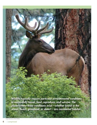 Losing Ground6
Oregon Department of Fish & Wildlife
Wildlife typically require particular environmental conditions
to successfully travel, feed, reproduce, and survive. The
places where these conditions exist – whether found in the
ocean, forest, grassland, or desert – are considered habitat.
 