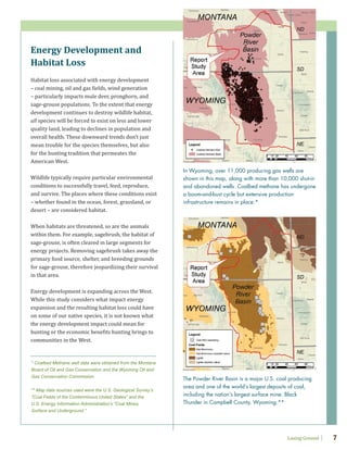 Losing Ground 7
Energy Development and
Habitat Loss
Habitat loss associated with energy development
– coal mining, oil and gas fields, wind generation
– particularly impacts mule deer, pronghorn, and
sage-grouse populations. To the extent that energy
development continues to destroy wildlife habitat,
all species will be forced to exist on less and lower
quality land, leading to declines in population and
overall health. These downward trends don’t just
mean trouble for the species themselves, but also
for the hunting tradition that permeates the
American West.
Wildlife typically require particular environmental
conditions to successfully travel, feed, reproduce,
and survive. The places where these conditions exist
– whether found in the ocean, forest, grassland, or
desert – are considered habitat.
When habitats are threatened, so are the animals
within them. For example, sagebrush, the habitat of
sage-grouse, is often cleared in large segments for
energy projects. Removing sagebrush takes away the
primary food source, shelter, and breeding grounds
for sage-grouse, therefore jeopardizing their survival
in that area.
Energy development is expanding across the West.
While this study considers what impact energy
expansion and the resulting habitat loss could have
on some of our native species, it is not known what
the energy development impact could mean for
hunting or the economic benefits hunting brings to
communities in the West.
In Wyoming, over 11,000 producing gas wells are
shown in this map, along with more than 10,000 shut-in
and abandoned wells. Coalbed methane has undergone
a boom-and-bust cycle but extensive production
infrastructure remains in place.*
The Powder River Basin is a major U.S. coal producing
area and one of the world’s largest deposits of coal,
including the nation’s largest surface mine: Black
Thunder in Campbell County, Wyoming.**
* Coalbed Methane well data were obtained from the Montana
Board of Oil and Gas Conservation and the Wyoming Oil and
Gas Conservation Commission.
** Map data sources used were the U.S. Geological Survey’s
“Coal Fields of the Conterminous United States” and the
U.S. Energy Information Administration’s “Coal Mines,
Surface and Underground.”
 