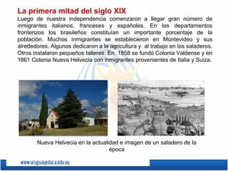 .  La primera mitad del siglo XIX Luego de nuestra independencia comenzaron a llegar gran número de inmigrantes italianos, franceses y españoles. En los departamentos fronterizos los brasileños constituían un importante porcentaje de la población. Muchos inmigrantes se establecieron en Montevideo y sus alrededores. Algunos dedicaron a la agricultura y  al trabajo en los saladeros. Otros instalaron pequeños talleres. En  1858 se fundó Colonia Valdense y en 1861 Colonia Nueva Helvecia con inmigrantes provenientes de Italia y Suiza. Nueva Helvecia en la actualidad e imagen de un saladero de la época 