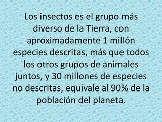 Los insectos es el grupo más diverso de la Tierra, con aproximadamente 1 millón especies descritas, más que todos los otros grupos de animales juntos, y 30 millones de especies no descritas, equivale al 90% de la población del planeta.