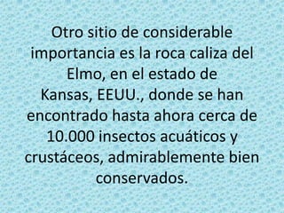 Otro sitio de considerable importancia es la roca caliza del Elmo, en el estado de Kansas, EEUU., donde se han encontrado hasta ahora cerca de 10.000 insectos acuáticos y crustáceos, admirablemente bien conservados.