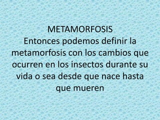 METAMORFOSISEntonces podemos definir la metamorfosis con los cambios que ocurren en los insectos durante su vida o sea desde que nace hasta que mueren