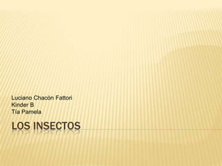 Los Insectos Luciano Chacón Fattori Kinder B Tía Pamela 