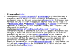 • Exoesqueleto[editar]
• Véase también: Cutícula (artrópodos)El exoesqueleto o ectoesqueleto es el
esqueleto externo que recubre todo el cuerpo de los insectos y demás
artrópodos y que también se conoce como integumento. En insectos está
formado por una sucesión de capas; de adentro hacia afuera éstas son:
la membrana basal, la epidermis o hipodermis y la cutícula; la única capa
celular es la epidermis; el resto no posee células y está compuesto por
algunas de las siguientes
sustancias: quitina, artropodina, esclerotina, cera y melanina. El
componente rígido, la esclerotina, cumple varios papeles funcionales que
incluyen la protección mecánica del insecto y el apoyo de los músculos
esqueléticos, a través del llamado endoesqueleto; en los insectos
terrestres, el exoesqueleto también actúa como una barrera para evitar la
desecación o pérdida del agua interna. El exoesqueleto apareció por
primera vez en el registro fósil hace unos 550 millones de años y su
evolución ha sido crítica para la radiación adaptativa y la conquista de casi
todos los nichos ecológicos del planeta que los artrópodos han venido
realizando desde el Cámbrico.
 