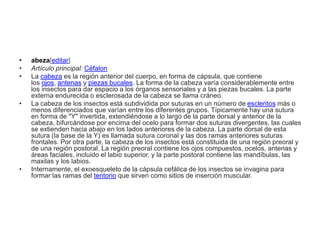 • abeza[editar]
• Artículo principal: Céfalon
• La cabeza es la región anterior del cuerpo, en forma de cápsula, que contiene
los ojos, antenas y piezas bucales. La forma de la cabeza varía considerablemente entre
los insectos para dar espacio a los órganos sensoriales y a las piezas bucales. La parte
externa endurecida o esclerosada de la cabeza se llama cráneo.
• La cabeza de los insectos está subdividida por suturas en un número de escleritos más o
menos diferenciados que varían entre los diferentes grupos. Típicamente hay una sutura
en forma de "Y" invertida, extendiéndose a lo largo de la parte dorsal y anterior de la
cabeza, bifurcándose por encima del ocelo para formar dos suturas divergentes, las cuales
se extienden hacia abajo en los lados anteriores de la cabeza. La parte dorsal de esta
sutura (la base de la Y) es llamada sutura coronal y las dos ramas anteriores suturas
frontales. Por otra parte, la cabeza de los insectos está constituida de una región preoral y
de una región postoral. La región preoral contiene los ojos compuestos, ocelos, antenas y
áreas faciales, incluido el labio superior, y la parte postoral contiene las mandíbulas, las
maxilas y los labios.
• Internamente, el exoesqueleto de la cápsula cefálica de los insectos se invagina para
formar las ramas del tentorio que sirven como sitios de inserción muscular.
 