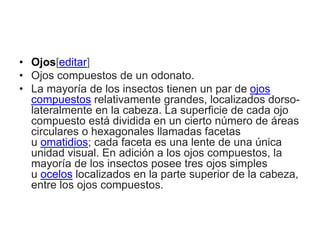 • Ojos[editar]
• Ojos compuestos de un odonato.
• La mayoría de los insectos tienen un par de ojos
compuestos relativamente grandes, localizados dorso-
lateralmente en la cabeza. La superficie de cada ojo
compuesto está dividida en un cierto número de áreas
circulares o hexagonales llamadas facetas
u omatidios; cada faceta es una lente de una única
unidad visual. En adición a los ojos compuestos, la
mayoría de los insectos posee tres ojos simples
u ocelos localizados en la parte superior de la cabeza,
entre los ojos compuestos.
 