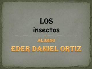 Alumno EDER DANIEL ORTIZ Losinsectos   