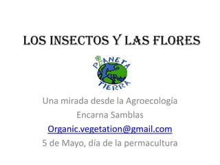 LOS INSECTOS Y LAS FLORES
Una mirada desde la Agroecología
Encarna Samblas
Organic.vegetation@gmail.com
5 de Mayo, día de la permacultura
 