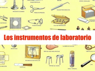 Los instrumentos de laboratorio
 
