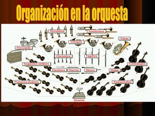 Organización en la orquesta 