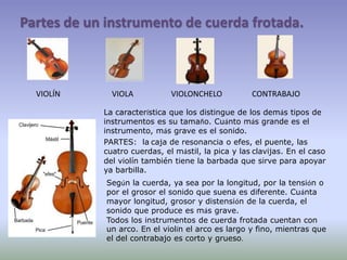 Partes de un instrumento de cuerda frotada.VIOLÍN                          VIOLA                   VIOLONCHELO               CONTRABAJO               La característica que los distingue de los demás tipos de instrumentos es su tamaño. Cuánto más grande es el instrumento, más grave es el sonido.PARTES:  lacaja de resonancia o efes, el puente, las cuatro cuerdas, el mástil, la pica y lasclavijas. En el caso del violín también tiene la barbada que sirve para apoyar ya barbilla.Según la cuerda, ya sea por la longitud, por la tensión o por el grosor el sonido que suena es diferente. Cuánta mayor longitud, grosor y distensión de la cuerda, el sonido que produce es más grave.Todos los instrumentos de cuerda frotada cuentan con un arco. En el violín el arco es largo y fino, mientras que el del contrabajo es corto y grueso.