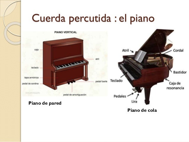 Los Instrumentos Marina Sergio Alberto