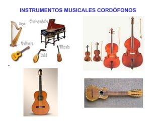INSTRUMENTOS MUSICALES CORDÓFONOS
 
