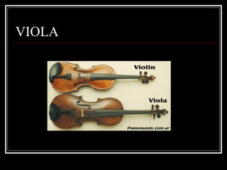 VIOLA 