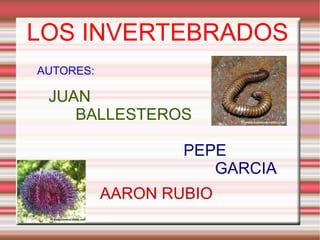 LOS INVERTEBRADOS AUTORES: JUAN  BALLESTEROS PEPE GARCIA AARON RUBIO 