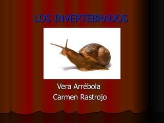 LOS INVERTEBRADOS Vera Arrébola  Carmen Rastrojo 