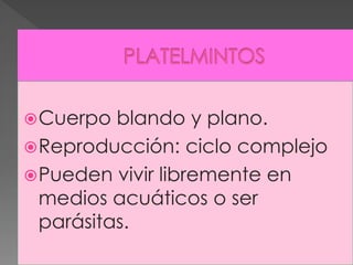  Cuerpo  blando y plano.
 Reproducción: ciclo complejo
 Pueden vivir libremente en
  medios acuáticos o ser
  parásitas.
 