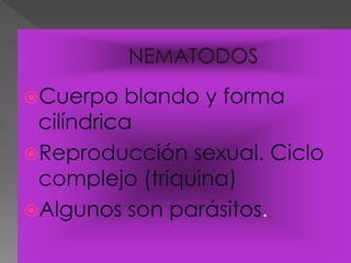 Cuerpo   blando y forma
 cilíndrica
Reproducción sexual. Ciclo
 complejo (triquina)
Algunos son parásitos.
 