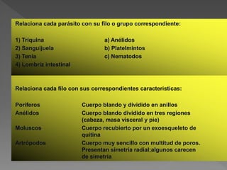 Relaciona cada parásito con su filo o grupo correspondiente:

1) Triquina                     a) Anélidos
2) Sanguijuela                  b) Platelmintos
3) Tenia                        c) Nematodos
4) Lombriz intestinal



Relaciona cada filo con sus correspondientes características:

Poríferos               Cuerpo blando y dividido en anillos
Anélidos                Cuerpo blando dividido en tres regiones
                        (cabeza, masa visceral y pie)
Moluscos                Cuerpo recubierto por un exoesqueleto de
                        quitina
Artrópodos              Cuerpo muy sencillo con multitud de poros.
                        Presentan simetría radial;algunos carecen
                        de simetría
 