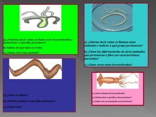 a) ¿Podrías decir cómo se llama este invertebrado y
mencionar a qué filo pertenece?                       a) ¿Sabrías decir cómo se llaman estos
                                                      animales e indicar a qué grupo pertenecen?
b) Indica de qué tipo se trata.

c) ¿Cómo vive este animal?                            b) ¿Cómo los diferenciarías de otros animales
                                                      que pertenecen a filos con características
                                                      parecidas?

                                                      c) ¿Cómo viven estos invertebrados?




                                                           a) ¿Cómo se llama este invertebrado?
a) ¿Cómo se llama?
                                                           b) ¿Sabrías decir a qué filo y clase pertenece?
b) ¿Podrías indicar a qué filo pertenece?                  c) ¿Cuáles son sus principales características?

c) ¿Cómo vive?
 