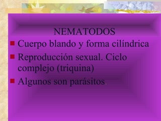 NEMATODOS Cuerpo blando y forma cilíndrica  Reproducción sexual. Ciclo complejo (triquina)  Algunos son parásitos .  