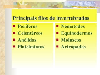 Principais filos de invertebrados Poríferos Celentéreos Anélidos Platelmintos Nematodos Equinodermos Moluscos Artrópodos 