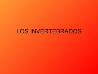 LOS INVERTEBRADOS
 