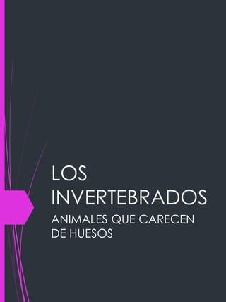 LOS
INVERTEBRADOS
ANIMALES QUE CARECEN
DE HUESOS
 