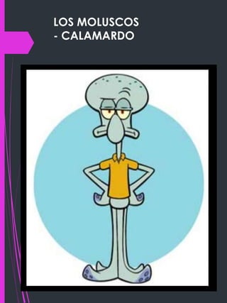 LOS MOLUSCOS
- CALAMARDO
 