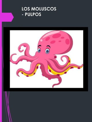 LOS MOLUSCOS
- PULPOS
 