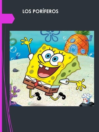 LOS PORÍFEROS
 