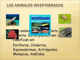 Son animales con esqueleto externo. Estos pueden ser o se clasifican en:  Poríferos, Cnidarios, Equinodermos, Artrópodos, Moluscos, Anélidos.  
