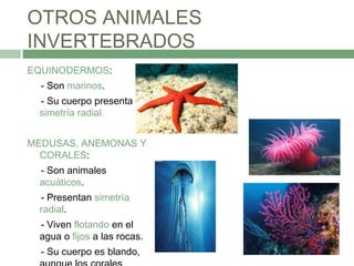 OTROS ANIMALES
INVERTEBRADOS
EQUINODERMOS:
- Son marinos.
- Su cuerpo presenta
simetría radial.
MEDUSAS, ANEMONAS Y
CORALES:
- Son animales
acuáticos.
- Presentan simetría
radial.
- Viven flotando en el
agua o fijos a las rocas.
- Su cuerpo es blando,
 