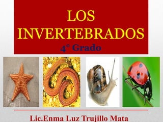 LOS
INVERTEBRADOS
         4° Grado




 Lic.Enma Luz Trujillo Mata
 