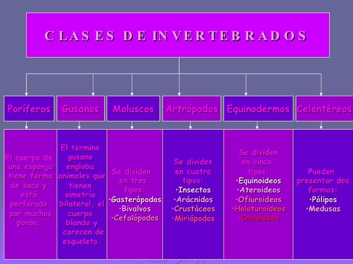 Como comprobar las lombrices en el hígado